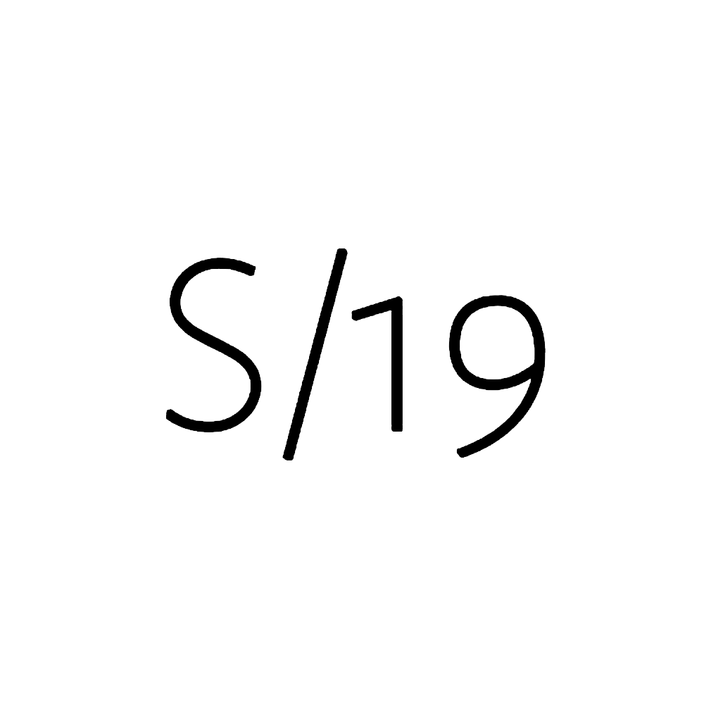 S19